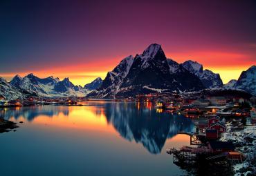 Profi Junior: FREE colouring for kids