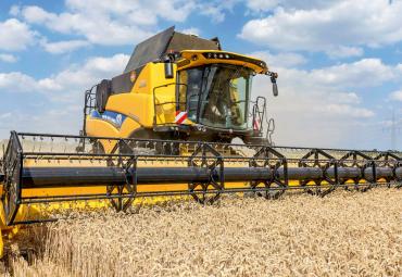 New test article title