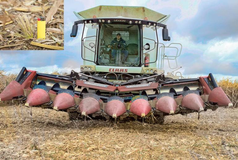 Mulcht beim Pflücken