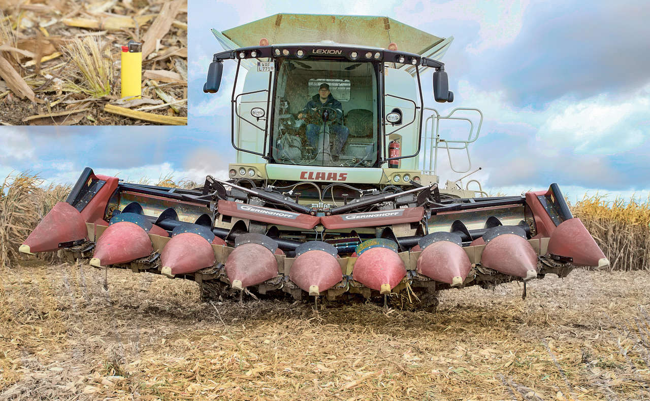 Mulcht beim Pflücken